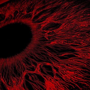 臭鸡蛋弱网过检测防封
