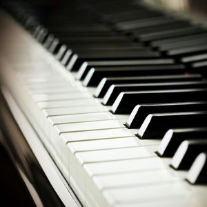 臭鸡蛋弱网过检测防封
